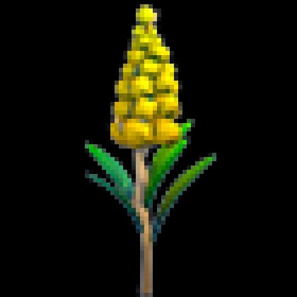 Goldenrod Flower