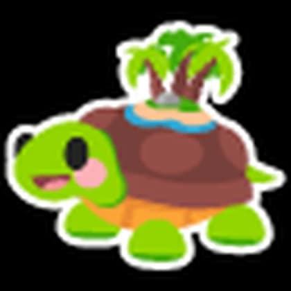 Tortuga de la Isla