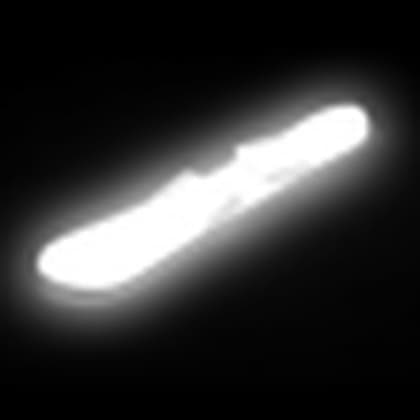 White Neon Snowboard